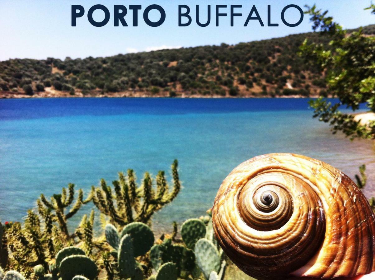 Sea Front Studio - Porto Boufalo - Evia Exterior photo
